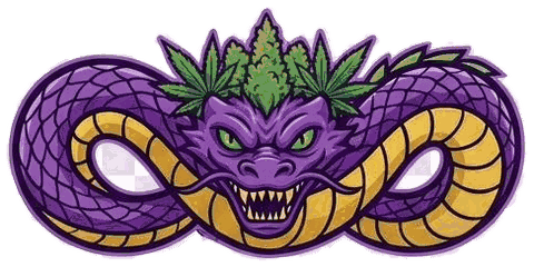 The Purple Dragon